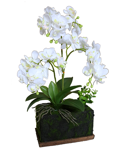 花草景盆159-05...