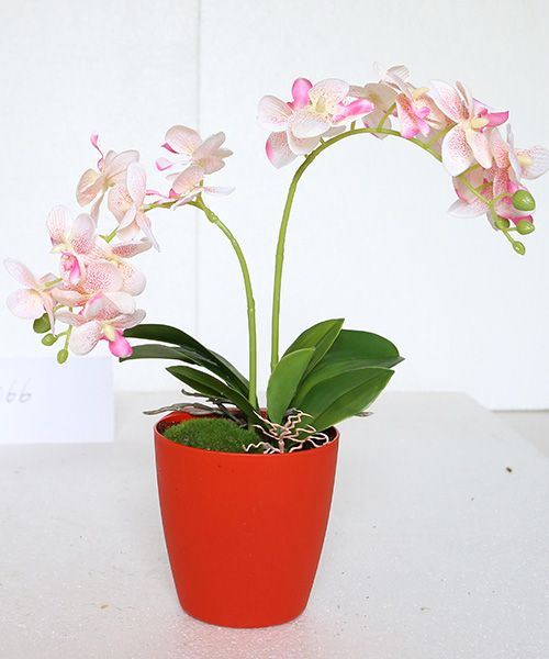 玻璃瓶花景IMG_2...